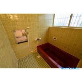 [Hauptsächlich in ihren 20ern! ] Internationale Farbe Kobe Nagata Ward Internationaler Ausländer Wei