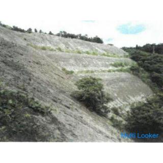 Kamikarasuda-Land, Stadt Kisarazu 35.562 m2