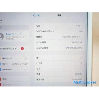 Apple MUU62J / A iPad mini 5. Generation Wi-Fi-Modell 256 GB 7,9 Zoll Gold Funktionsfähiges Produkt 