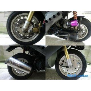 HONDA Dio AF35-ZX! 77ccm Aufbohren und viele andere Modifikationen ★ Tokyo / Ota-ku [Inzahlungnahme 