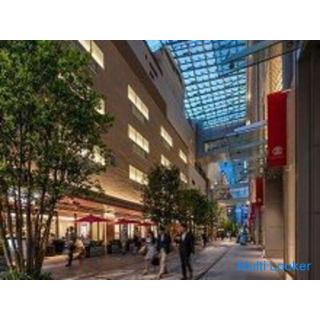 40er und 50er Spaziergang in Tokio ♪ ~ 1 Person Teilnahme ~ [Nihonbashi]