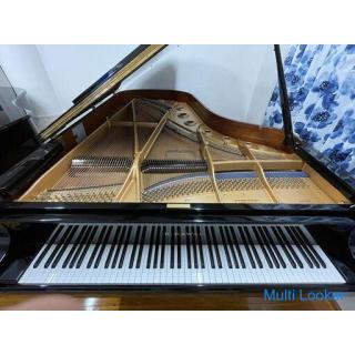 Kawai KG-7D, das hochwertigste Modell ◆ Testgeschosse sind willkommen! Eine Sammlung von Klaviertech