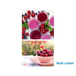 Weihnachten / Diätplanung / Austauschparty in einem angesagten Café