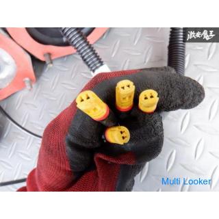 Schönheitsprodukte! !! Fahrstrecke ca. 1000 km NEKO Corporation R35 GT-R GTR NISMO 2018 MY18 Harmoni