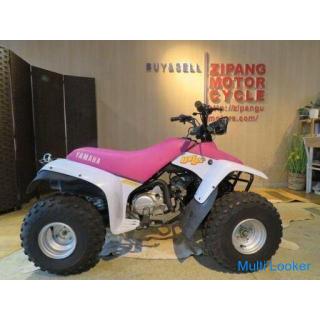 Schönes Auto! Selten! YAMAHA YF80M DACHS 4EM 80cc 1993 Purple Two Tone Produktion! Wettkampf Auto Bu