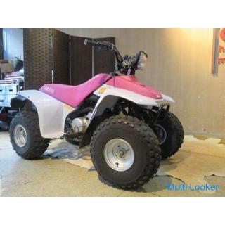 Schönes Auto! Selten! YAMAHA YF80M DACHS 4EM 80cc 1993 Purple Two Tone Produktion! Wettkampf Auto Bu