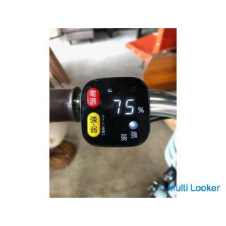 fast neu! Hergestellt im Jahr 2021! BRIDGESTONE Elektrofahrrad mit drei Rädern Rakut Wagon