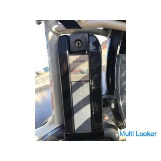 YAMAHA Elektrofahrrad mit PAS Raffini Akku