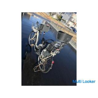 YAMAHA Elektrofahrrad mit PAS Raffini Akku