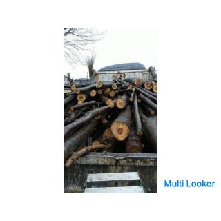 Wir übernehmen Forstwirtschaft, Holzeinschlag und große schwere Maschinen in Einheiten von 100!