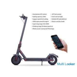 Wir verkaufen elektrische Kickboards