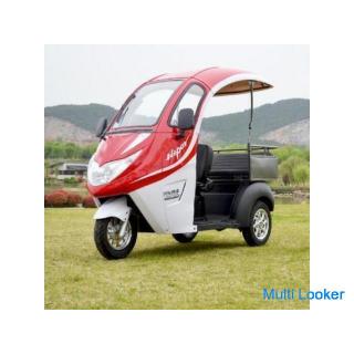 Lieferung per E-Lieferfahrrad