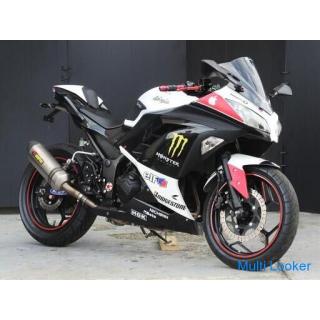 Seltener Kawasaki Ninja 300 Akrapovič Schalldämpfer