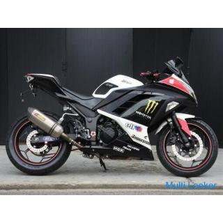 Seltener Kawasaki Ninja 300 Akrapovič Schalldämpfer