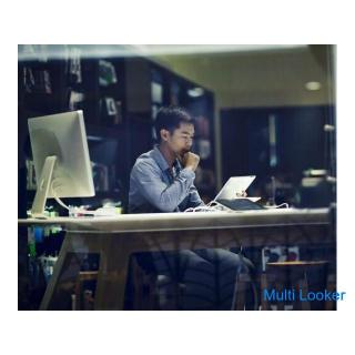 Online-Englischunterricht für amerikanische Universitätsprofessoren - Business, englische Konversati