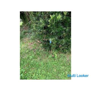 Landschaft zum Verkauf im ländlichen