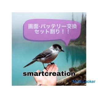 Ab heute beträgt der Rabatt für Bildschirm und Akku 2000 Yen weniger!