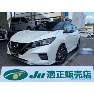 ☆ Nissan Leaf Elektrofahrzeug ☆