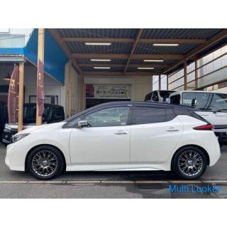 ☆ Nissan Leaf Elektrofahrzeug ☆