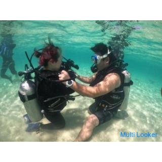 Kurs zum Erwerb der C-Karte (Open Water Diver).