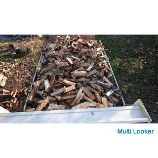 Brennholz Für den Hausgebrauch Für Camping Für Lagerfeuer