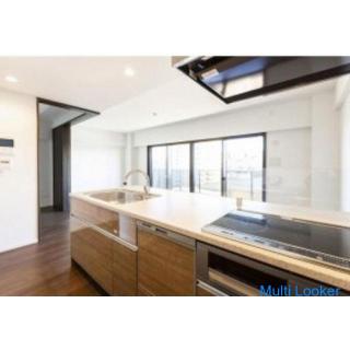 Narimasu Station Luxusvermietung ☆ Komplette Ausstattung ☆ Haustiere erlaubt