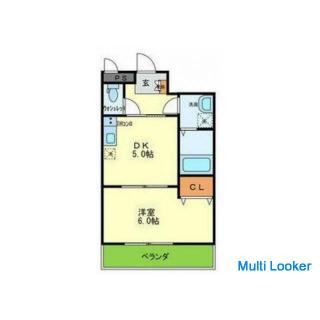 Weißes und sauberes geräumiges 1DK / Eckzimmer