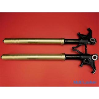 ☆ Kawasaki ZX-10R Ninja ZXT00D Original Upside-Down-Gabel links rechts Satz Φ54 K1001-R-2 K1001-L-2