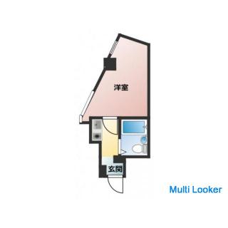 Pets are allowed. (Only one cat). If you have a contract this month, you can move in with a total in