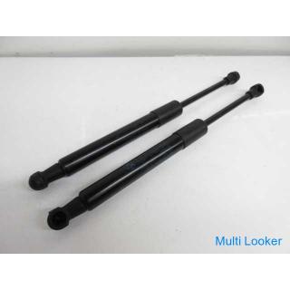 BMW Z4 E89 LM35 Trunk Shock Left / Right