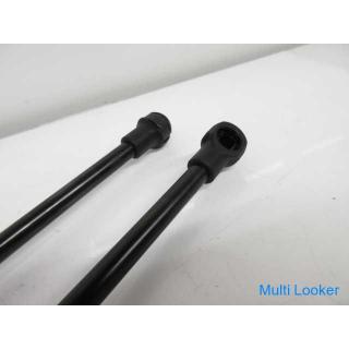 BMW Z4 E89 LM35 Trunk Shock Left / Right