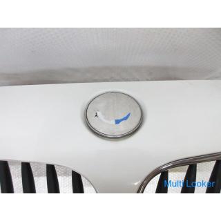 2007 BMW Z4 E85 BU25 Front bumper 300 With upper grill