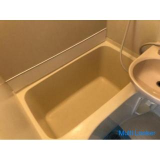 Property with furniture and home appliances! Pets are allowed (one cat).