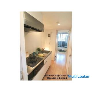 [Initial cost 50,000 yen pack] Loft space 5.6 quires! Free internet apartment!