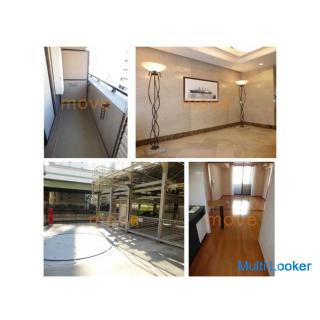 1K is a small apartment for small people.