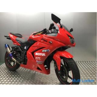 Kawasaki NINJA 250R / Outside muffler lever