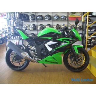 Kawasaki Ninja 250SL (green / black)