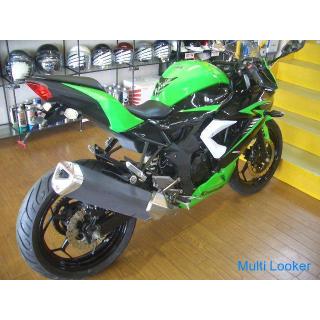 Kawasaki Ninja 250SL (green / black)