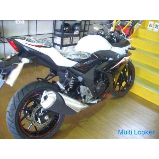 Suzuki GSX250R (white / black)
