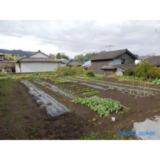 Toho Muroya, Ibusuki City, Kagoshima Prefecture [Sale] Flat residential land 380.75m² 3 million yen