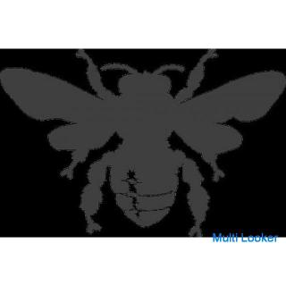 [Tokai area] Extermination of beehives and pests 6,000 yen