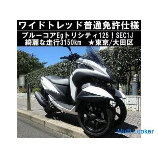 ★ Wide tread Ordinary license specification Bluecore Eg Tricity 125! 3150km ★