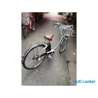 Panasonic Electric Assisted Bicycle VIVI NX Price Cuts