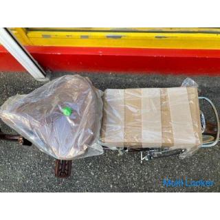 24 inch Electric Assisted Bicycle Folding