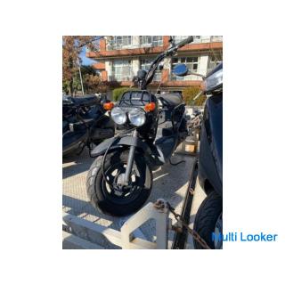 Honda Zoomer Cheap exhibition after a long time! ️‼ ️