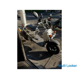 Honda Zoomer has been in stock for a long time! ️