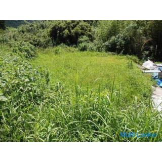 Miyanoura-cho, Kagoshima City [Sale land] Approximately 482ｍ2 along the stream Agricultural land 1 m