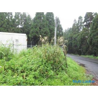 Yamagawanarikawa, Ibusuki City [Land] Forest on the Ibusuki Narukawa tunnel 1.4 million yen