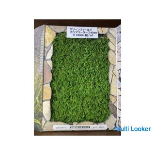 Green artificial turf in the garden shop facility. Garden care shop. Tokorozawa City, Saitama City, 