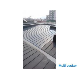 Roof painting work